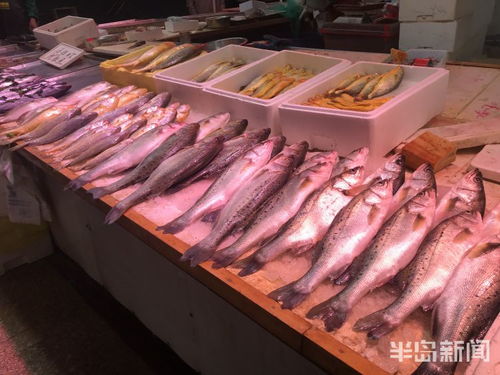 青島水產(chǎn)品交易遇冷，進(jìn)口水產(chǎn)停售，市場(chǎng)監(jiān)管部門嚴(yán)查進(jìn)貨來(lái)源