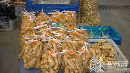 蔥姜價(jià)格上揚(yáng)與肉水產(chǎn)價(jià)格回落 農(nóng)副產(chǎn)品市場(chǎng)銷售動(dòng)態(tài)分析