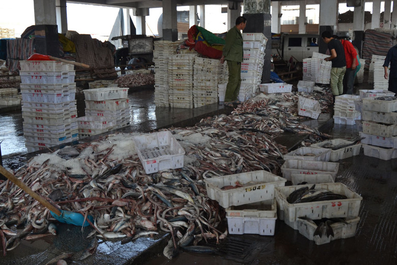 松門水產(chǎn)批發(fā)市場(chǎng) 邊買邊拍，探訪鮮活水產(chǎn)品批發(fā)新體驗(yàn)