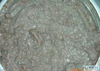 煙臺漁民自家發酵蝦醬 16元500克，小額批發優選